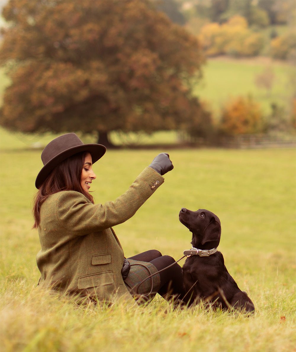 Essential Finest Pork & Sage Squares - PupDeluxe.dk