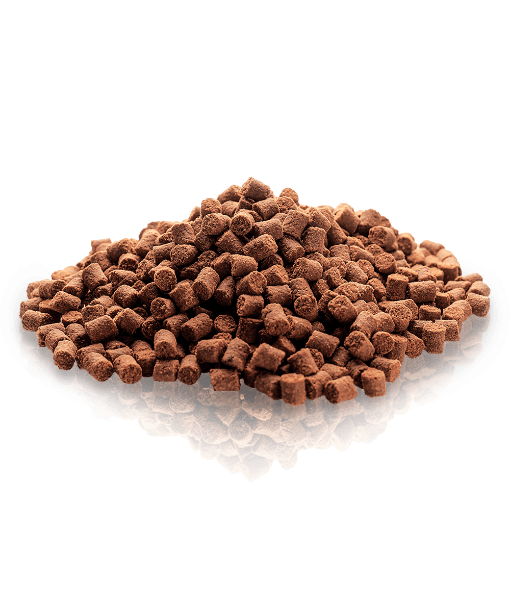 Essential Motivation Delights 500g - PupDeluxe.dk