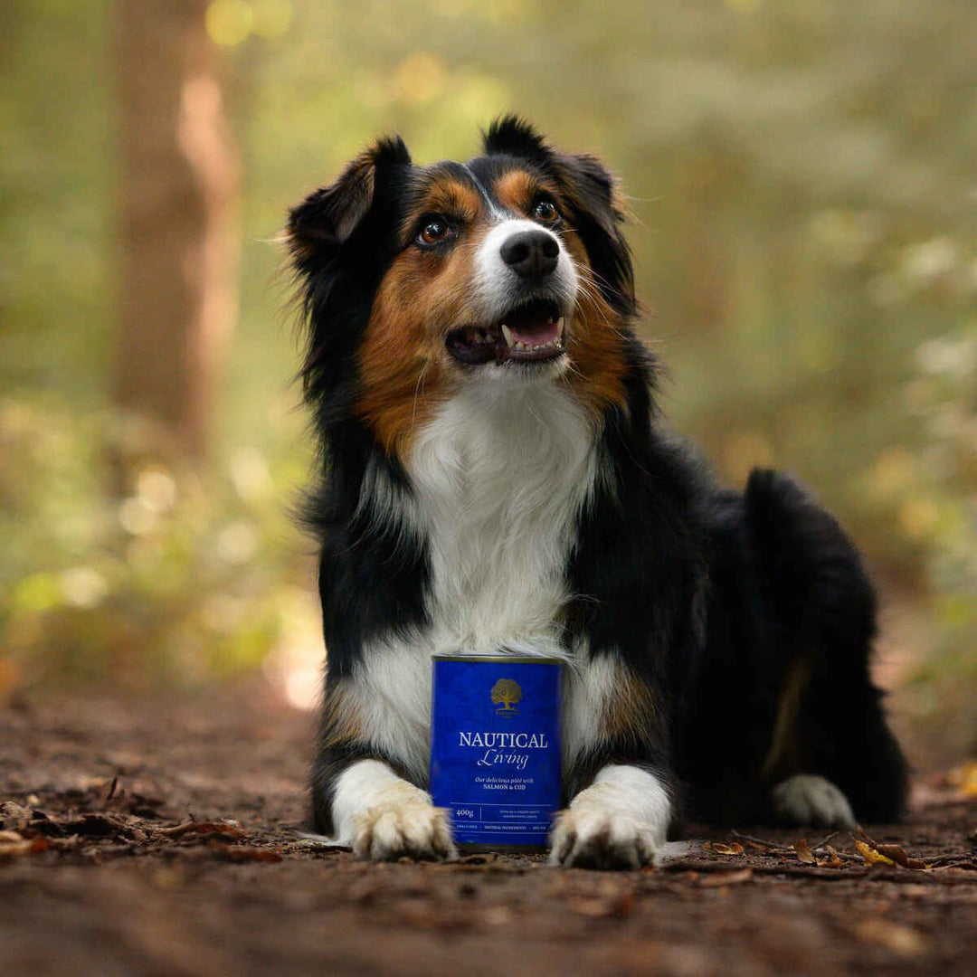 Essential Nautical Living Paté 400g - PupDeluxe.dk