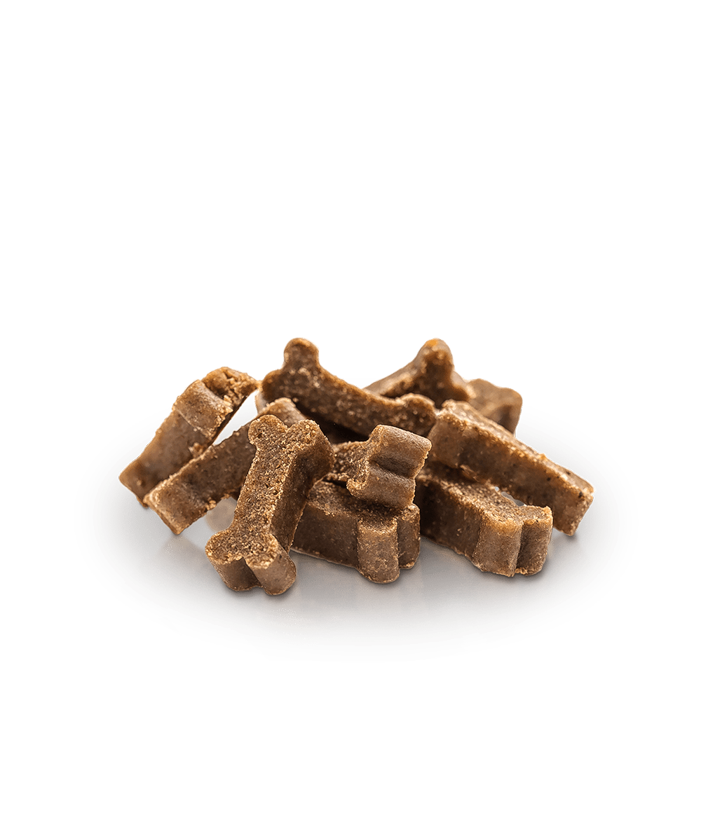 Essential Salmon Mini Delights godbidder 100g - PupDeluxe.dk