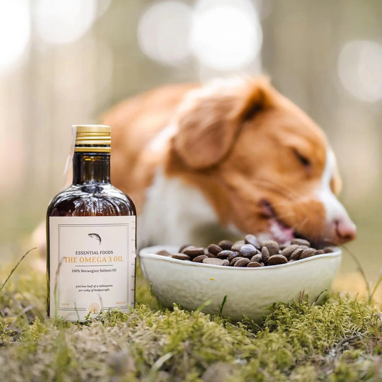 Essential The Omega 3 Oil - PupDeluxe.dk