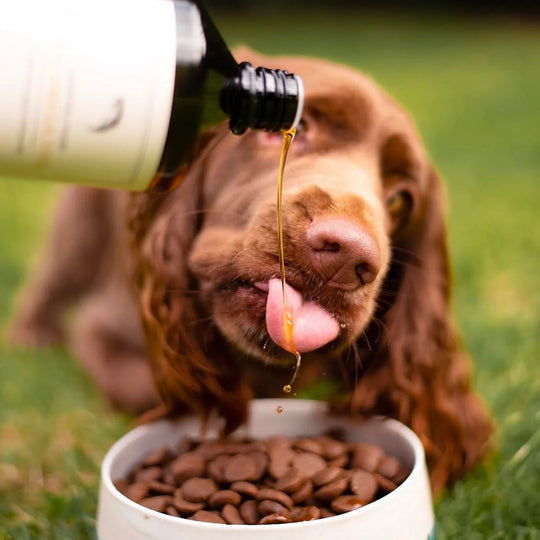 Essential The Omega 3 Oil - PupDeluxe.dk