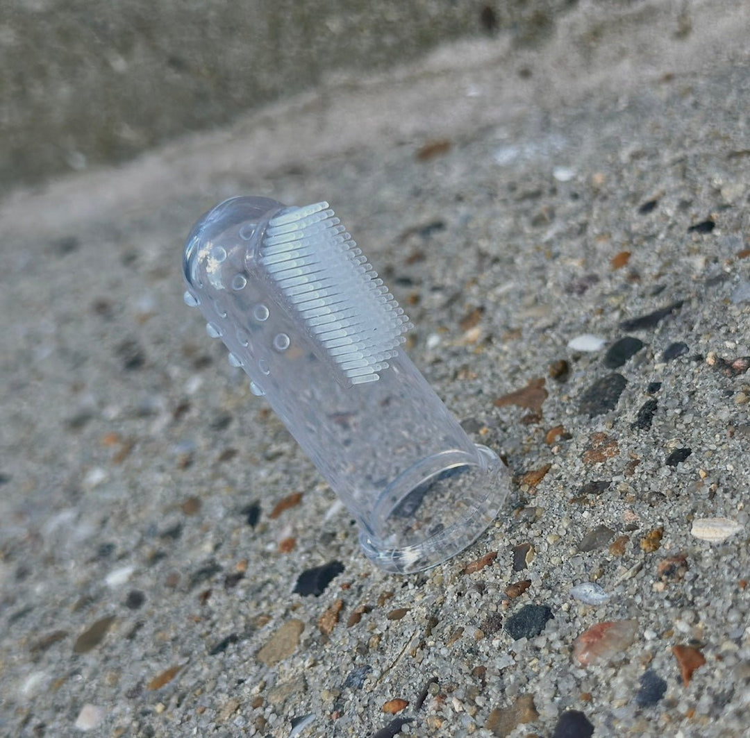 Fingertandbørste til hund - PupDeluxe.dk