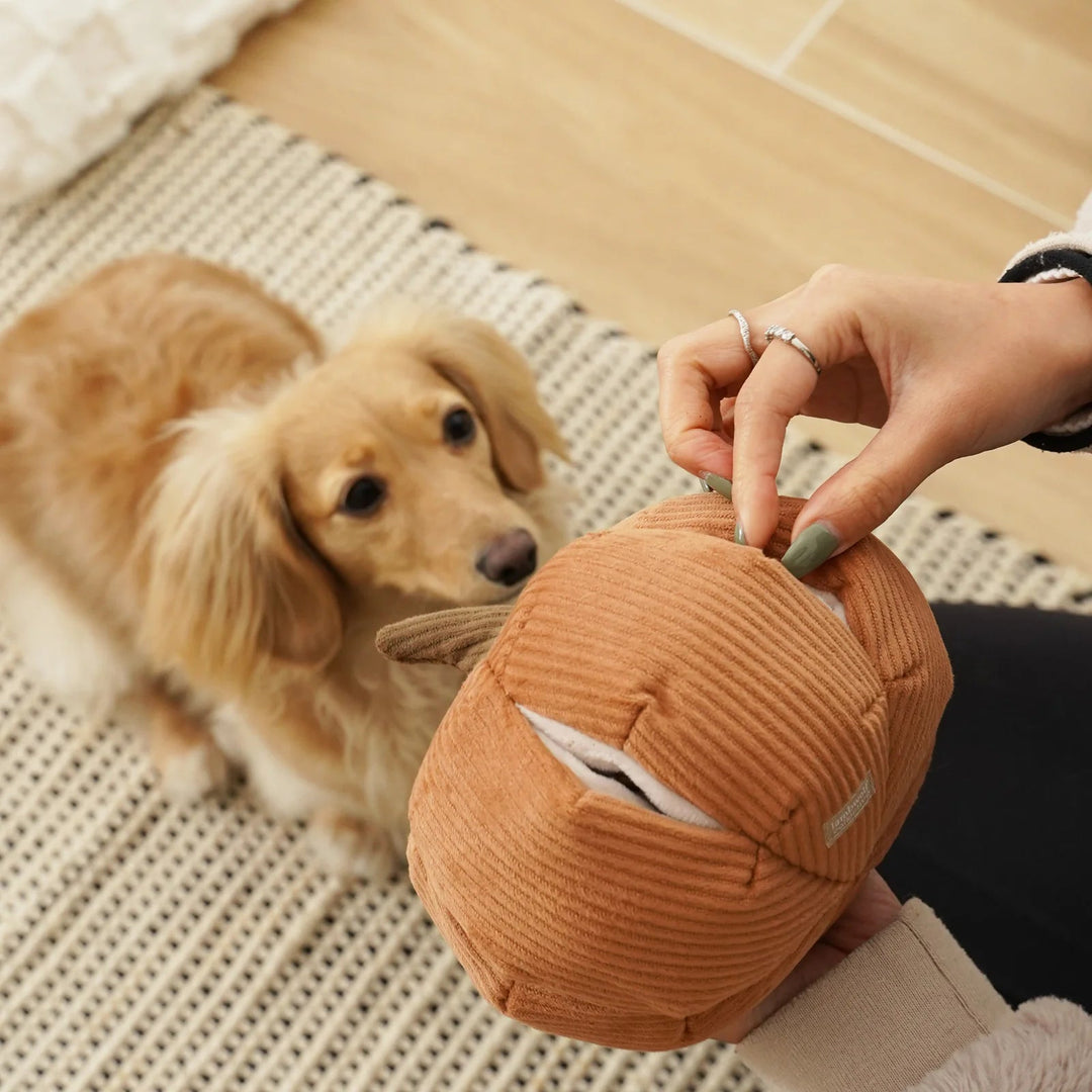 Lambwolf Cinderella - PupDeluxe.dk