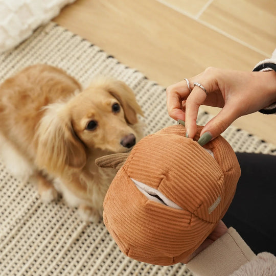 Lambwolf Cinderella - PupDeluxe.dk