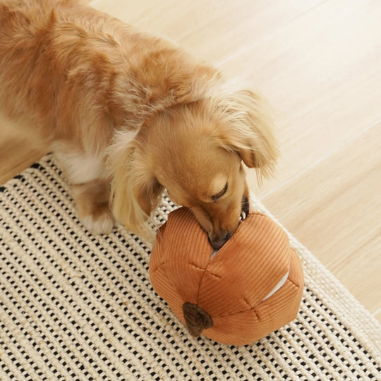 Lambwolf Cinderella - PupDeluxe.dk