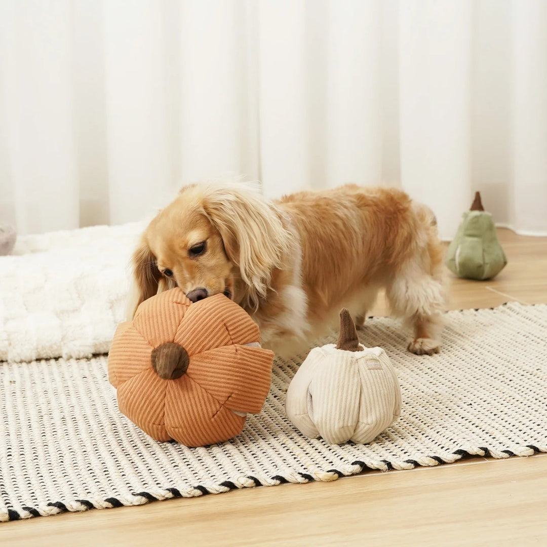 Lambwolf Cinderella - PupDeluxe.dk