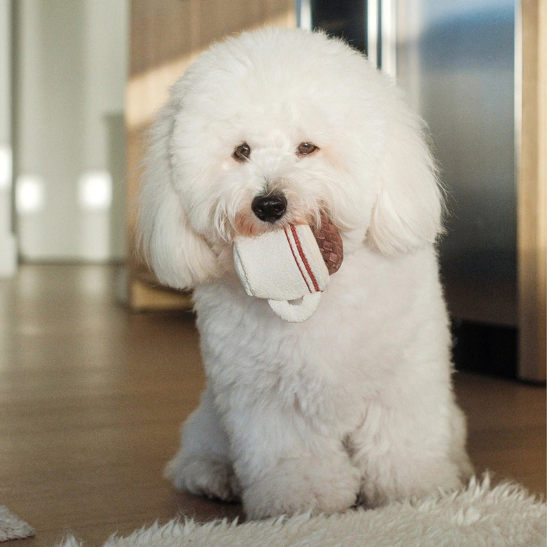 Lambwolf Expresso Pop - PupDeluxe.dk