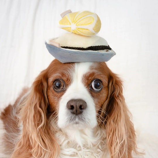 Lambwolf GILLARDEU - PupDeluxe.dk