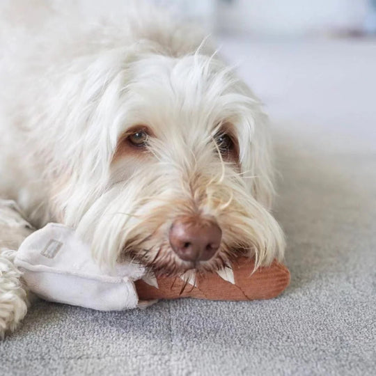 Lambwolf Mini Baguette - PupDeluxe.dk