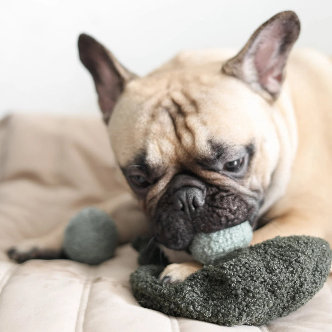 Lambwolf Pea Pop - PupDeluxe.dk