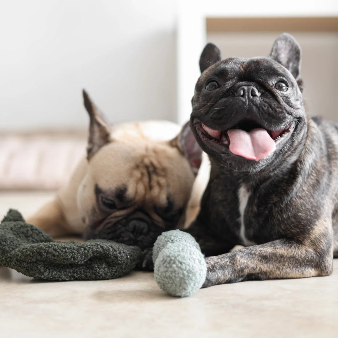 Lambwolf Pea Pop - PupDeluxe.dk