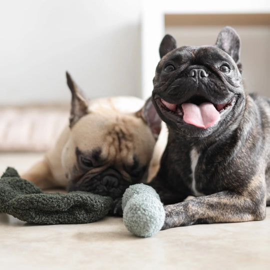 Lambwolf Pea Pop - PupDeluxe.dk