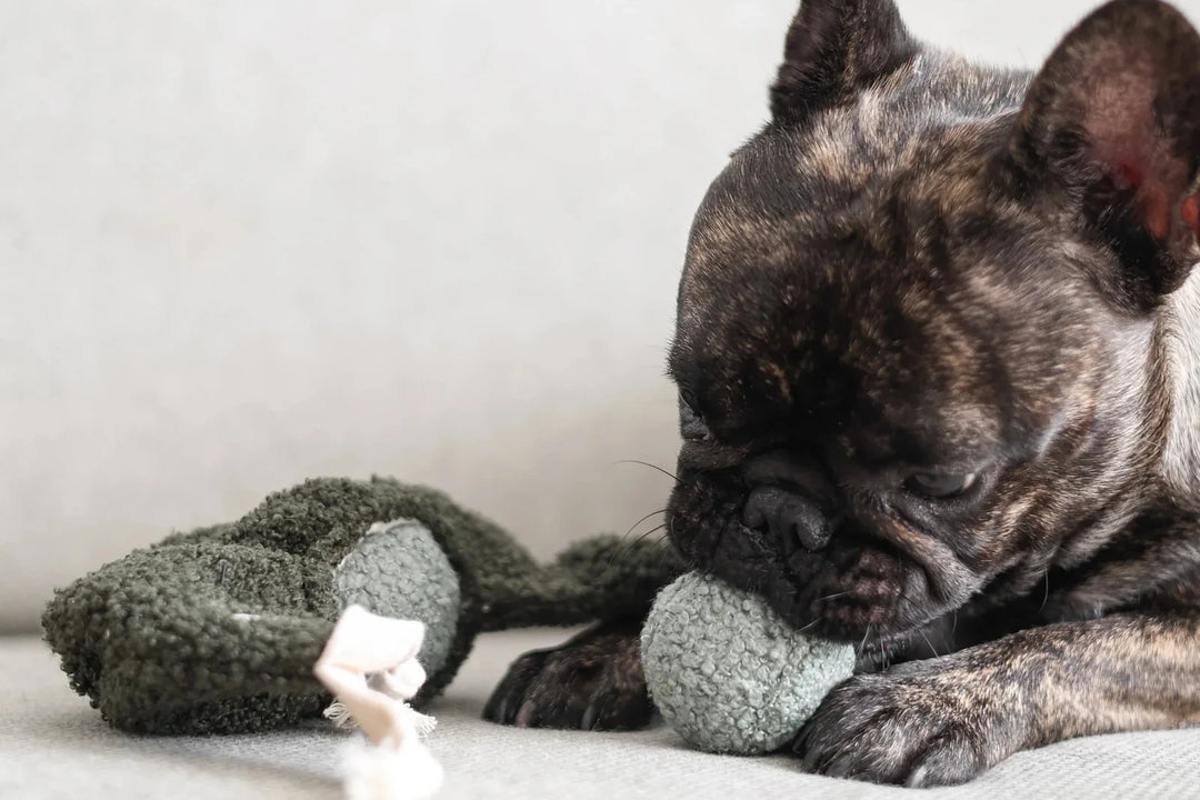 Lambwolf Pea Pop - PupDeluxe.dk