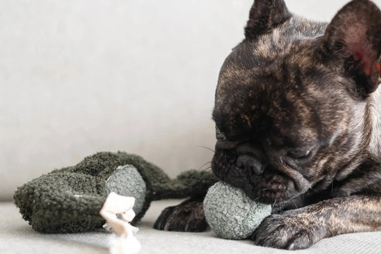 Lambwolf Pea Pop - PupDeluxe.dk