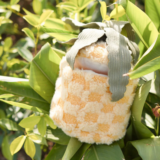 Lambwolf Pineapple Pop - PupDeluxe.dk