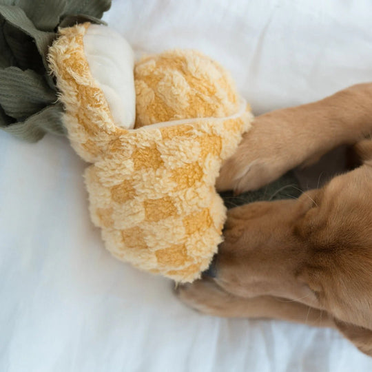Lambwolf Pineapple Pop - PupDeluxe.dk