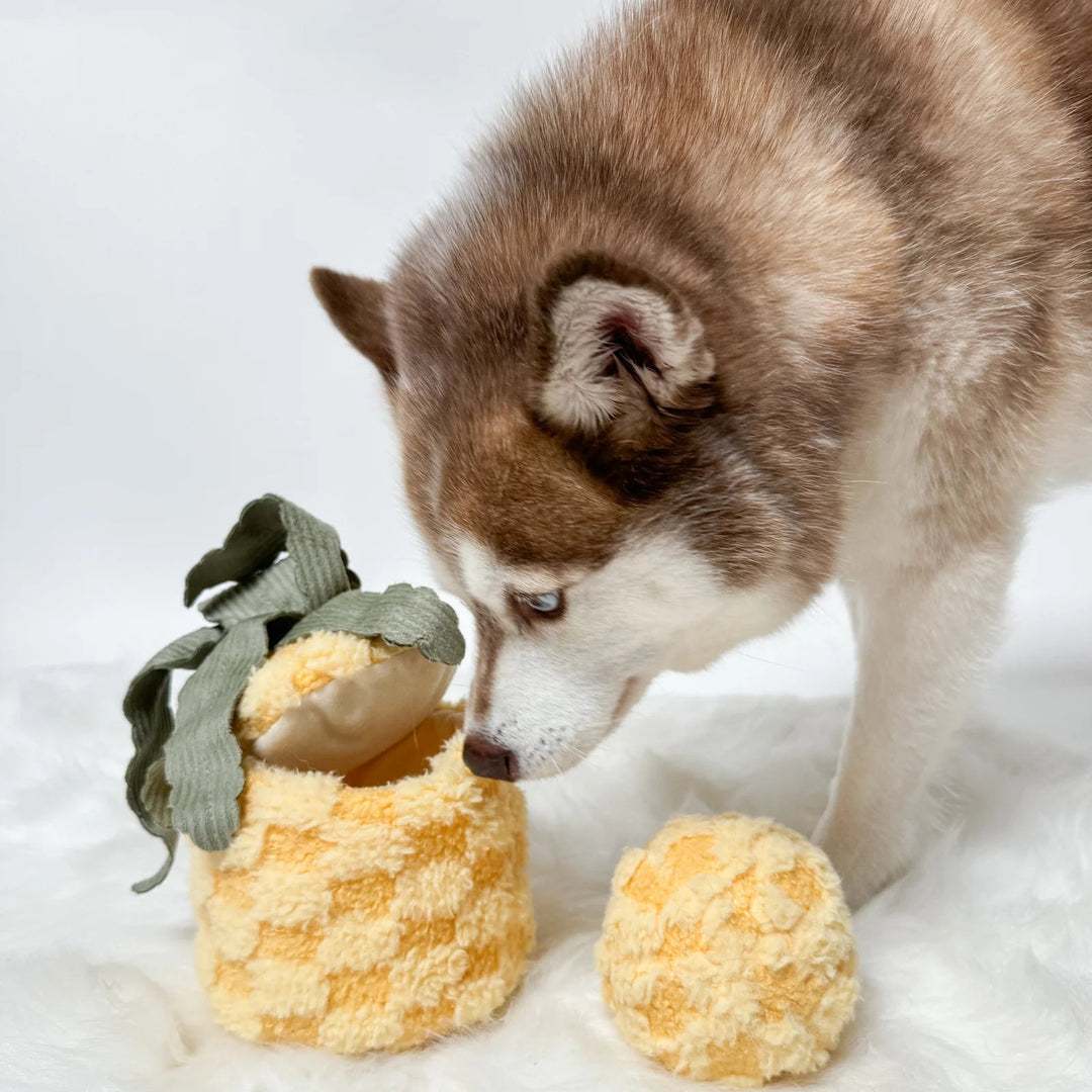 Lambwolf Pineapple Pop - PupDeluxe.dk