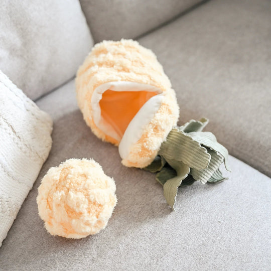 Lambwolf Pineapple Pop - PupDeluxe.dk