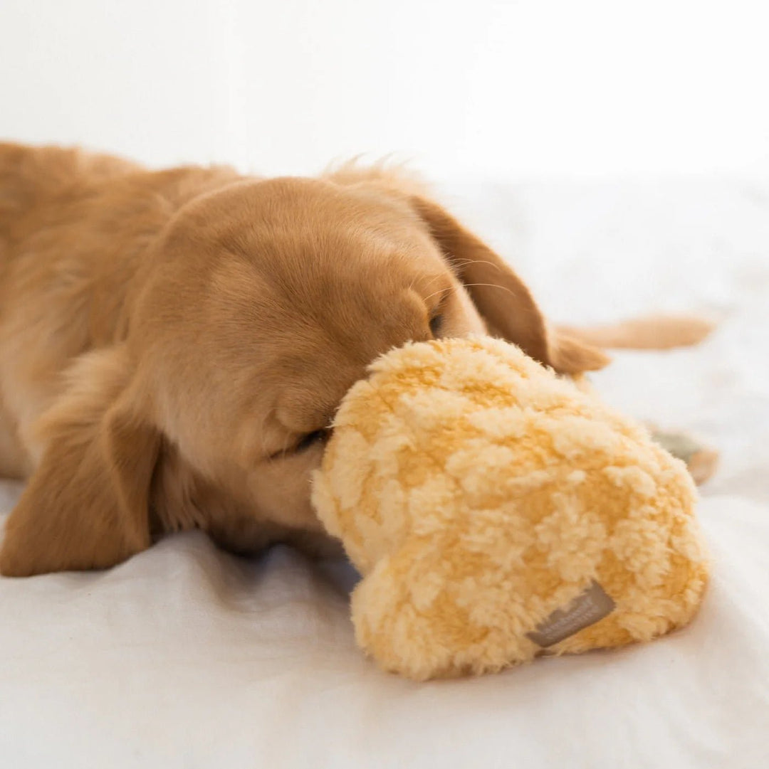 Lambwolf Pineapple Pop - PupDeluxe.dk