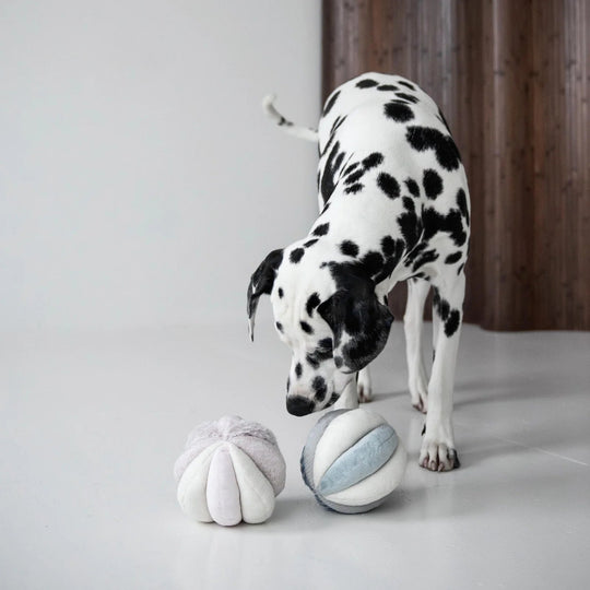 Lambwolf TOTO - PupDeluxe.dk