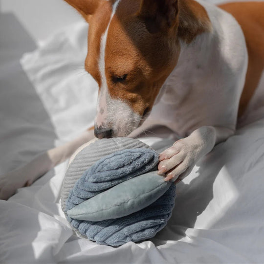 Lambwolf TOTO - PupDeluxe.dk