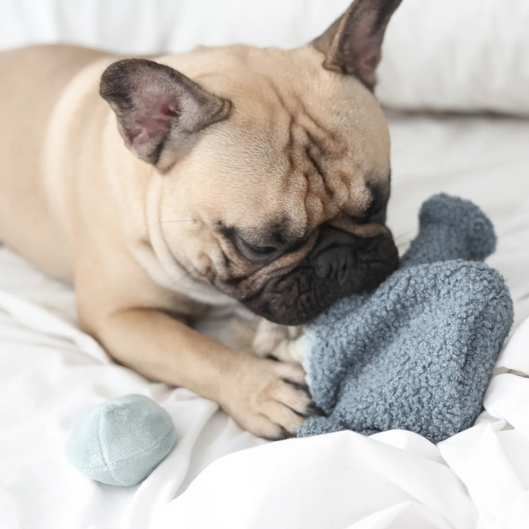 Lambwolf Watering Can - PupDeluxe.dk