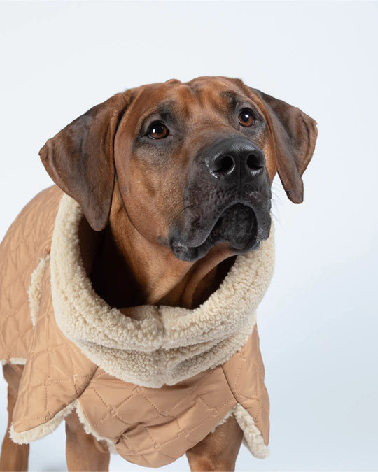 PAIKKA Quilted Sherpa Hundejakke Camel - PupDeluxe.dk