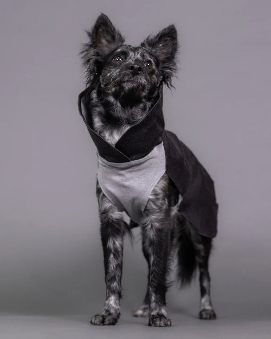 PAIKKA Recovery Vinterdragt Grå - PupDeluxe.dk