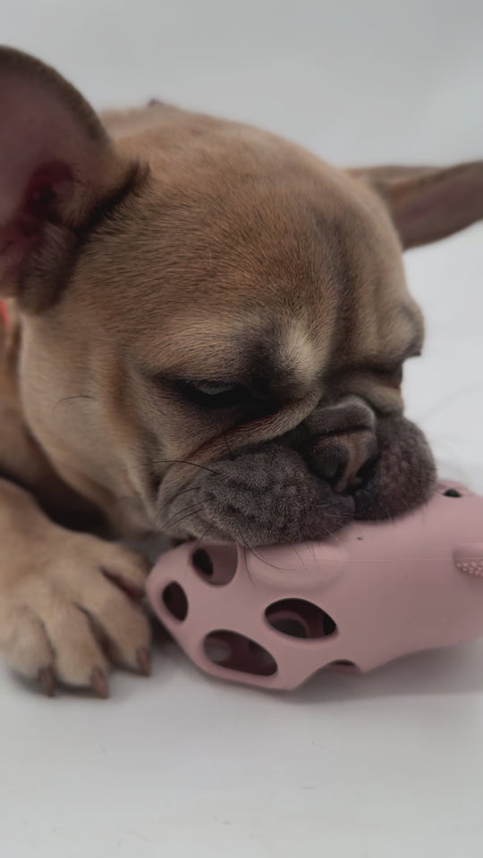 Zenora Silikone Bamsebold