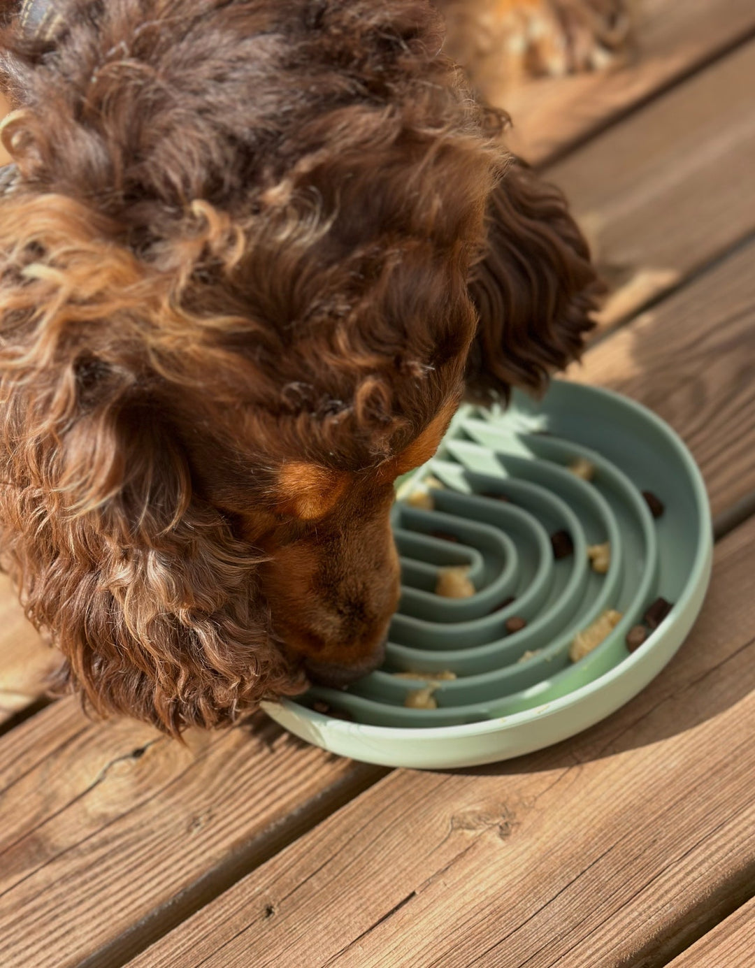 Slowfeeder til hund - PupDeluxe.dk