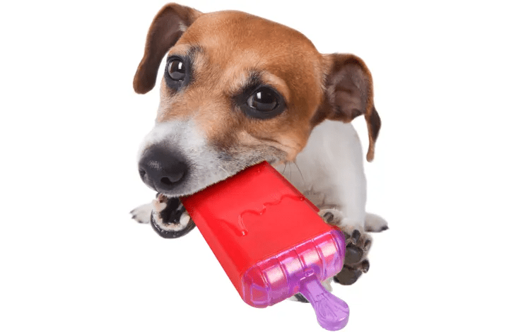 Toy Wael Ice Lolly 16cm - PupDeluxe.dk