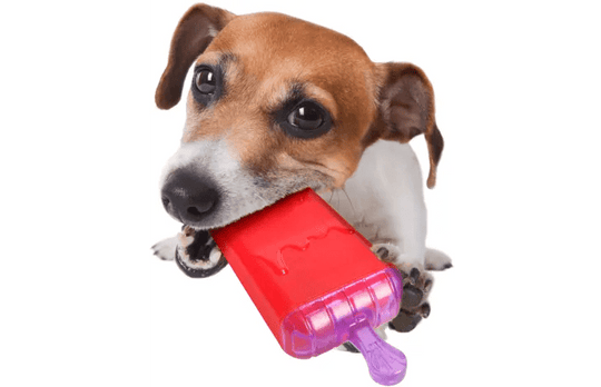 Toy Wael Ice Lolly 16cm - PupDeluxe.dk