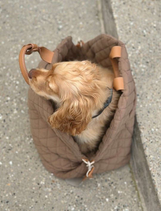 Zenora 3i1 hundetaske Brindisi - PupDeluxe.dk