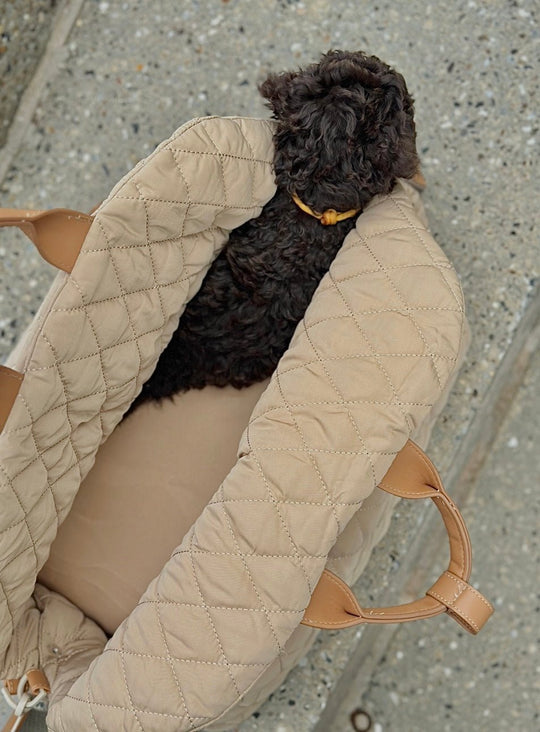 Zenora 3i1 hundetaske Brindisi - PupDeluxe.dk