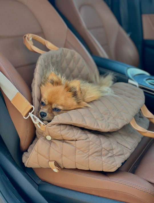 Zenora 3i1 hundetaske Brindisi - PupDeluxe.dk