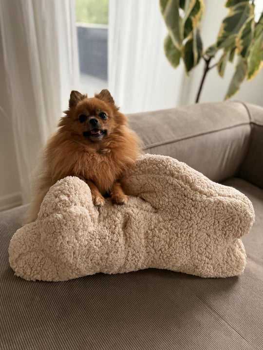 Zenora Kæmpe Kanin - PupDeluxe.dk