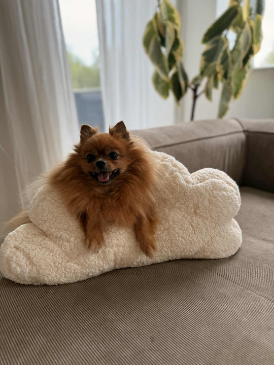 Zenora Kæmpe Kanin - PupDeluxe.dk