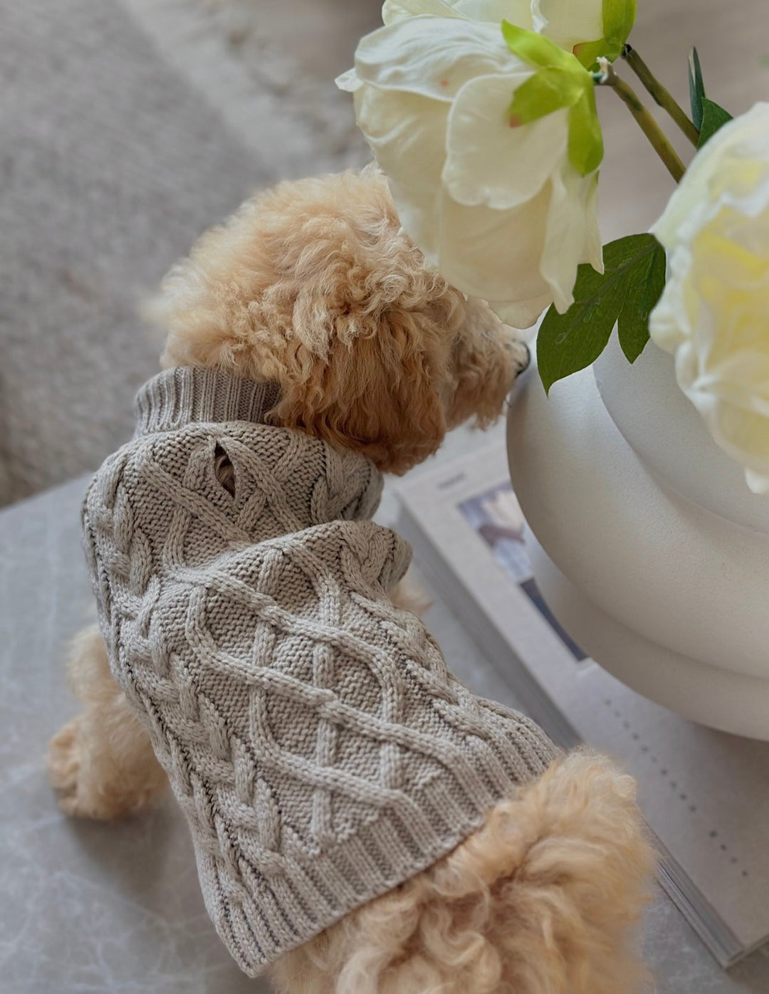 Zenora Striktrøje til hund med snoråbning - PupDeluxe.dk