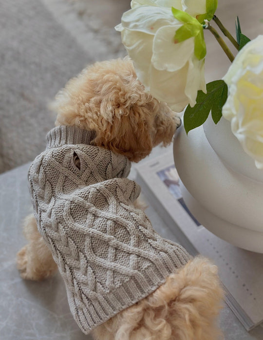 Zenora Striktrøje til hund med snoråbning - PupDeluxe.dk