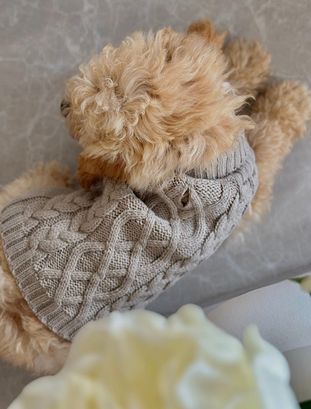 Zenora Striktrøje til hund med snoråbning - PupDeluxe.dk