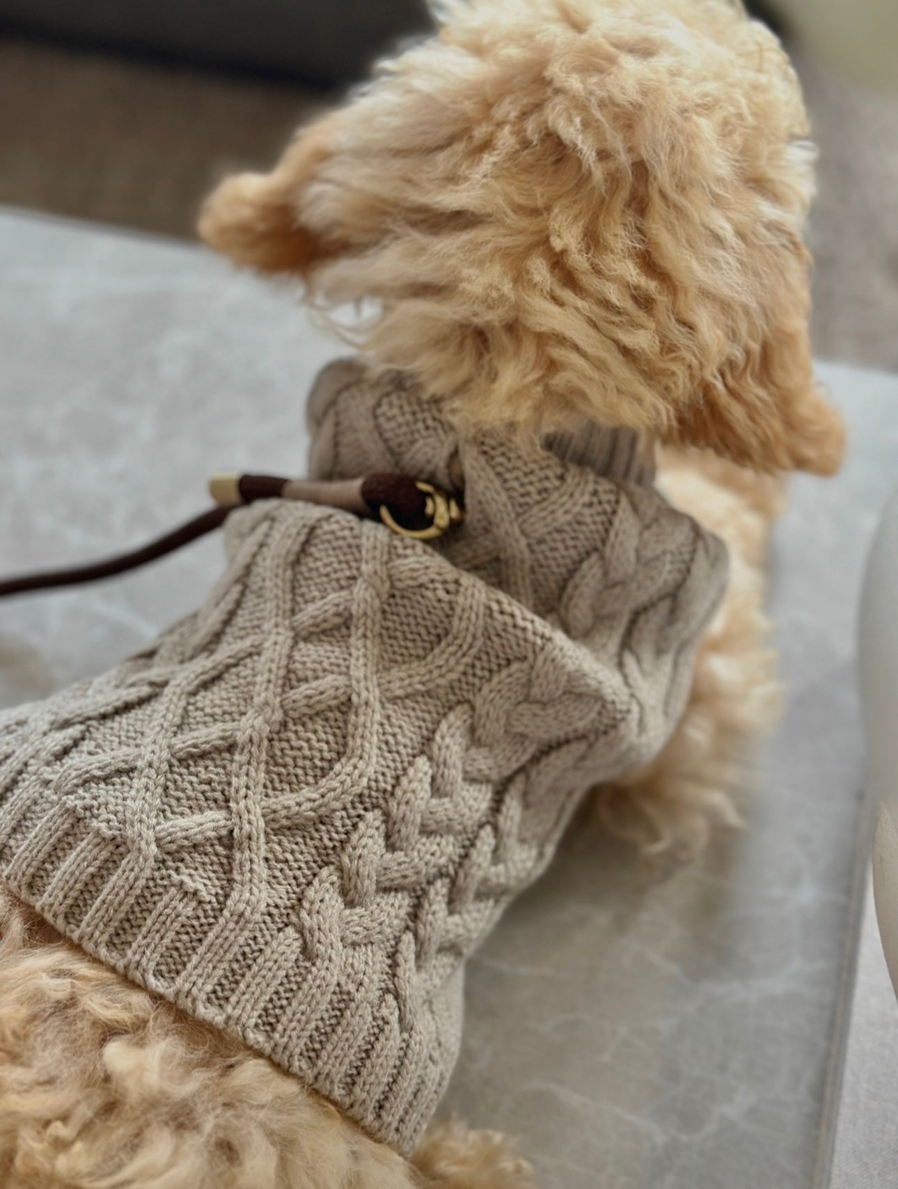 Zenora Striktrøje til hund med snoråbning - PupDeluxe.dk